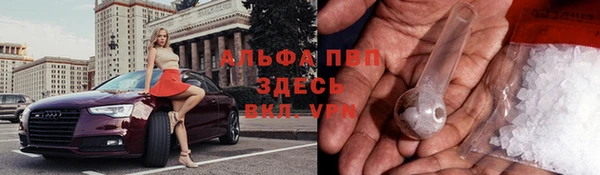 спиды Баксан
