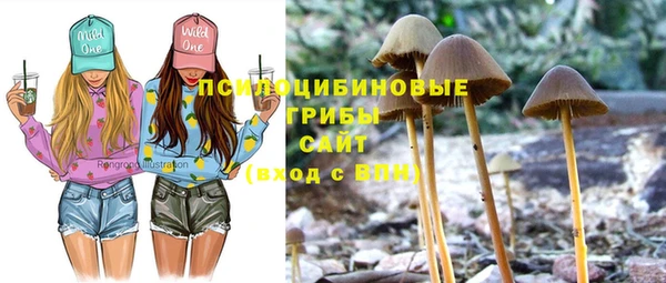 первитин Балахна