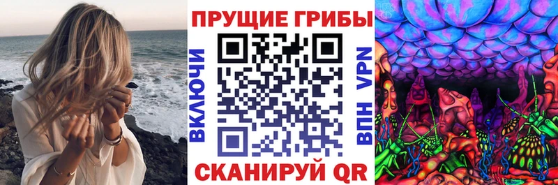 ссылка на мегу   Белый  Псилоцибиновые грибы Psilocybe 